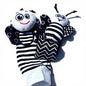 Cartoon animal rattle and sock set