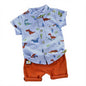Cotton Summer Dinosaur Print Shirt & Shorts Set (9–12 Months)