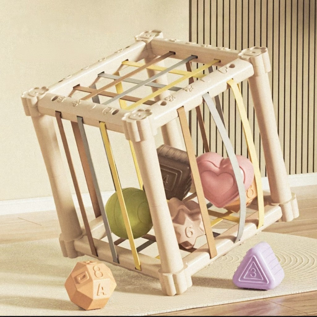 Educational Activity Cube